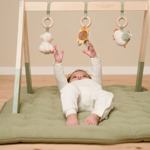 Little Dutch Little Farm Babygym