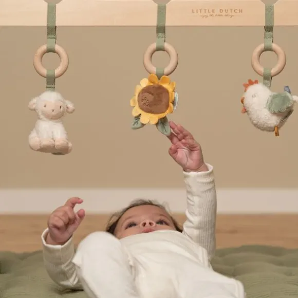 Little Dutch Little Farm Babygym