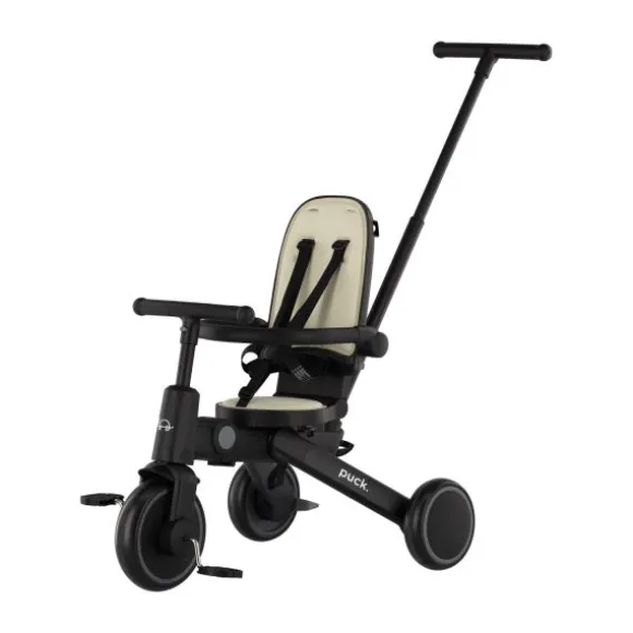 Puck Driewieler - Tricycle II