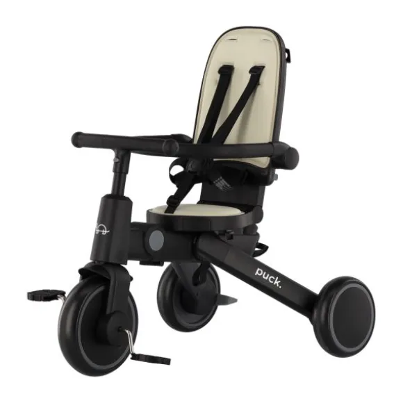 Puck Driewieler - Tricycle II