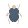 Van Tjalle en Jasper Beetle Muurlamp - Naturel / Blue